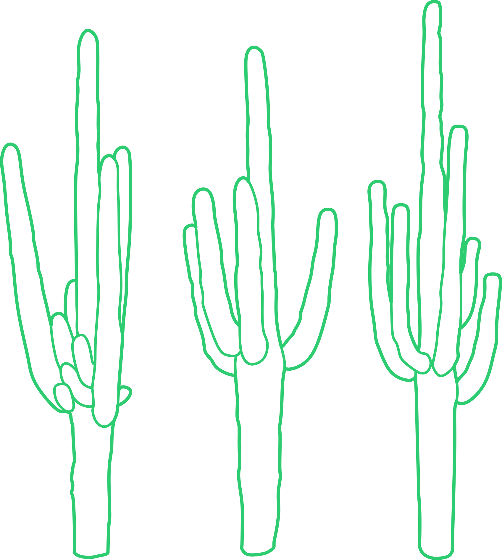 Desert Plants Saguaro Cactus Trio Color Tracing Svg Vector Free Vectors